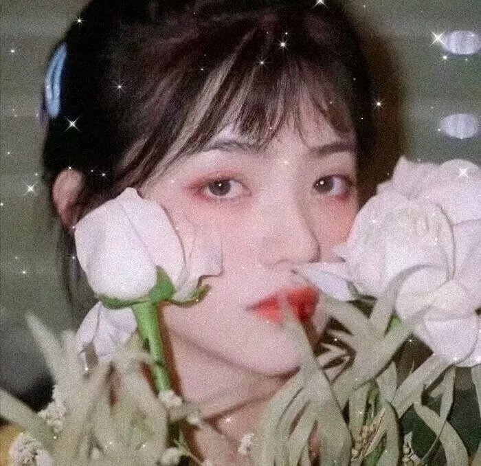 驱魔修女:蛊毒